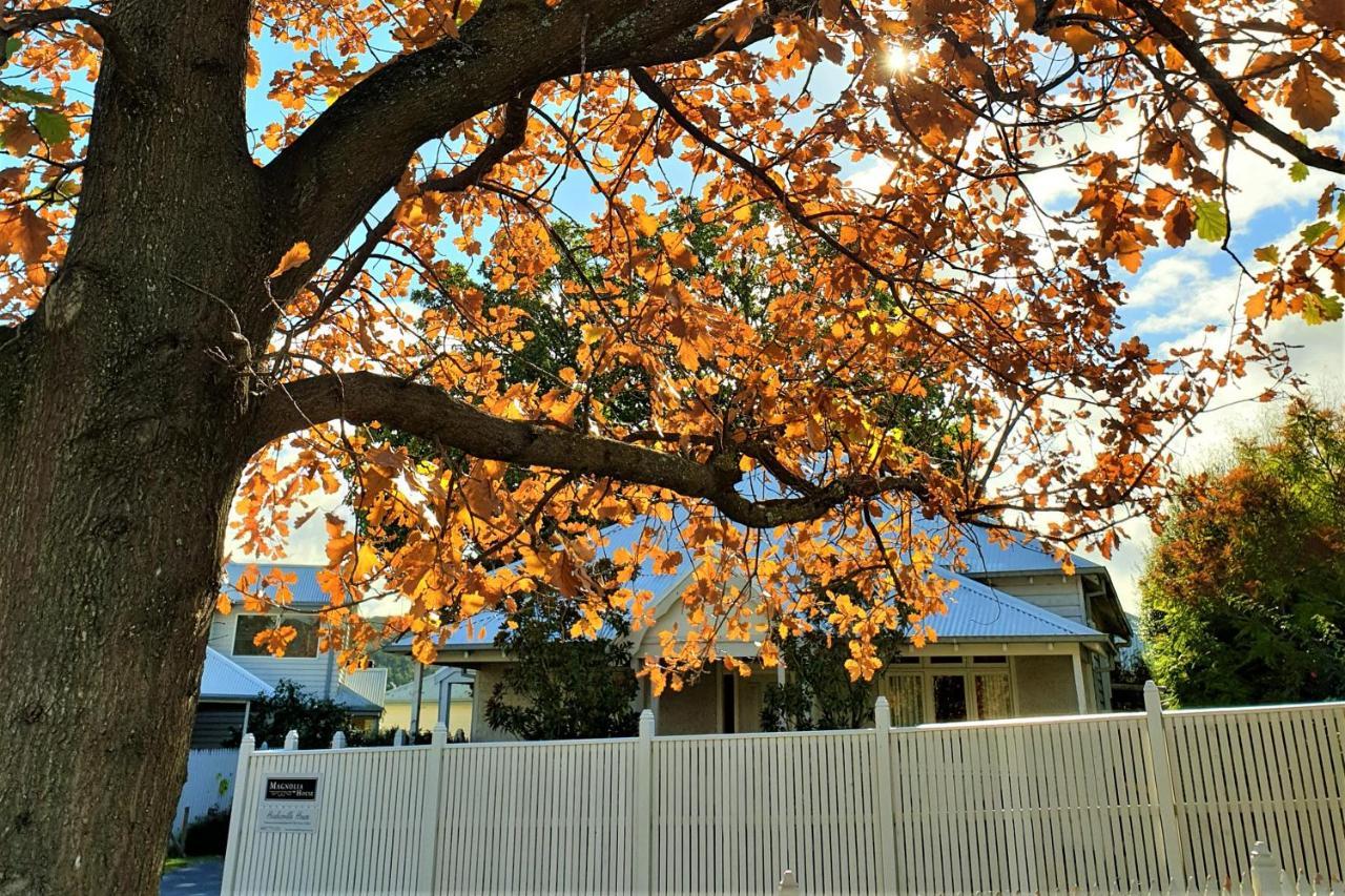 Healesville House - Magnolia House Екстер'єр фото